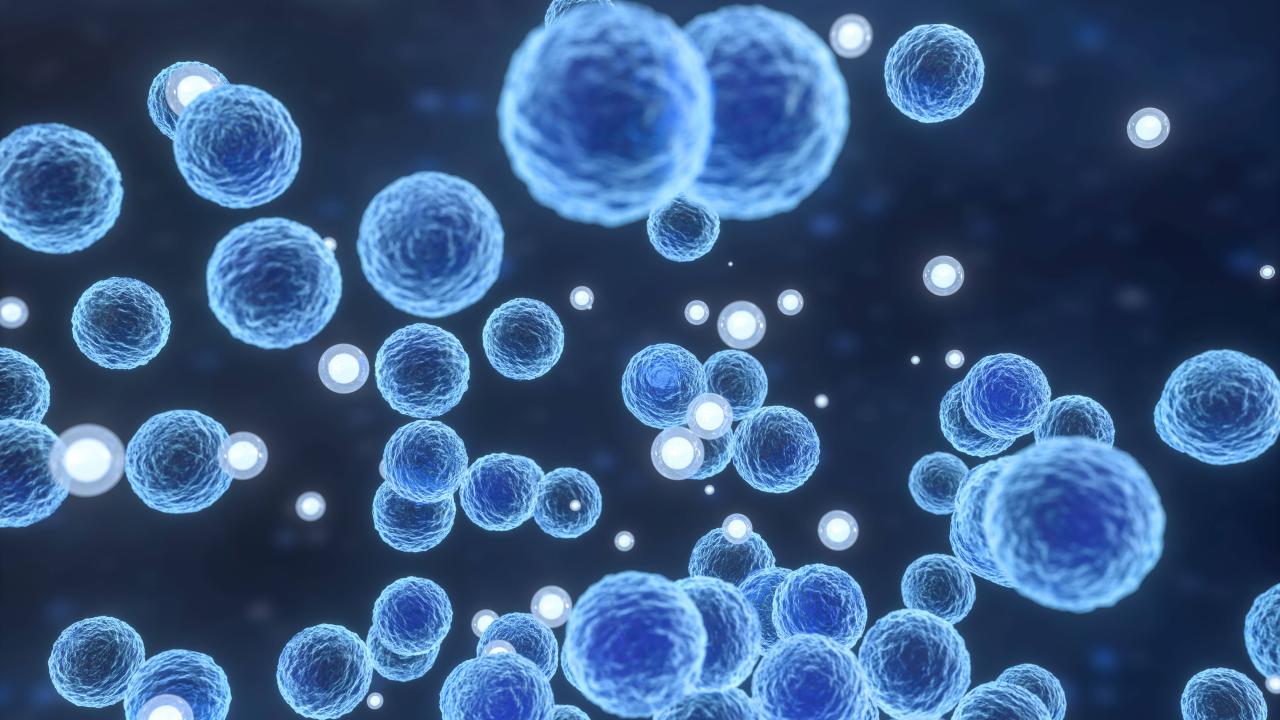 Antarktidada 6 yeni bakteriya cinsi aşkar edilib